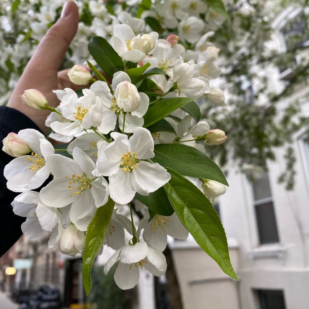 Meet your Posher, Emily